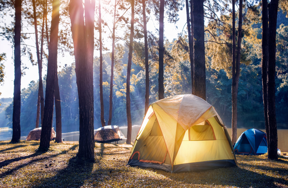 Camping Forest - Upper Cullen Resort